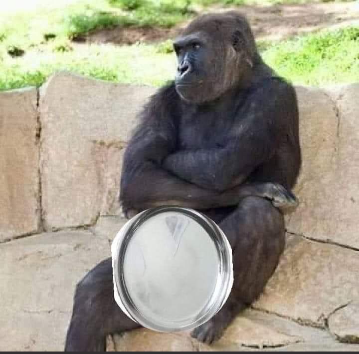 rhtswn's tweet image. Sala ek to potty roka upar se no task. #ModiAddress