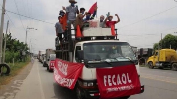 ultimahorainfor's tweet photo. FECAOL realiza brigadas campesinas para abastecer de alimentos a los ecuatorianos
.
.
.
#ÚltimaHoraInforma #Noticias #EcuadorJuntos #QuédateEnCasa #SiSePuede #ContraElCovid19 

https://t.co/WOs1rNGpqR https://t.co/Xzmx7m2ZS4