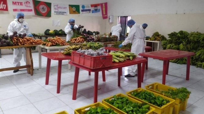 ultimahorainfor's tweet photo. FECAOL realiza brigadas campesinas para abastecer de alimentos a los ecuatorianos
.
.
.
#ÚltimaHoraInforma #Noticias #EcuadorJuntos #QuédateEnCasa #SiSePuede #ContraElCovid19 

https://t.co/WOs1rNGpqR https://t.co/Xzmx7m2ZS4