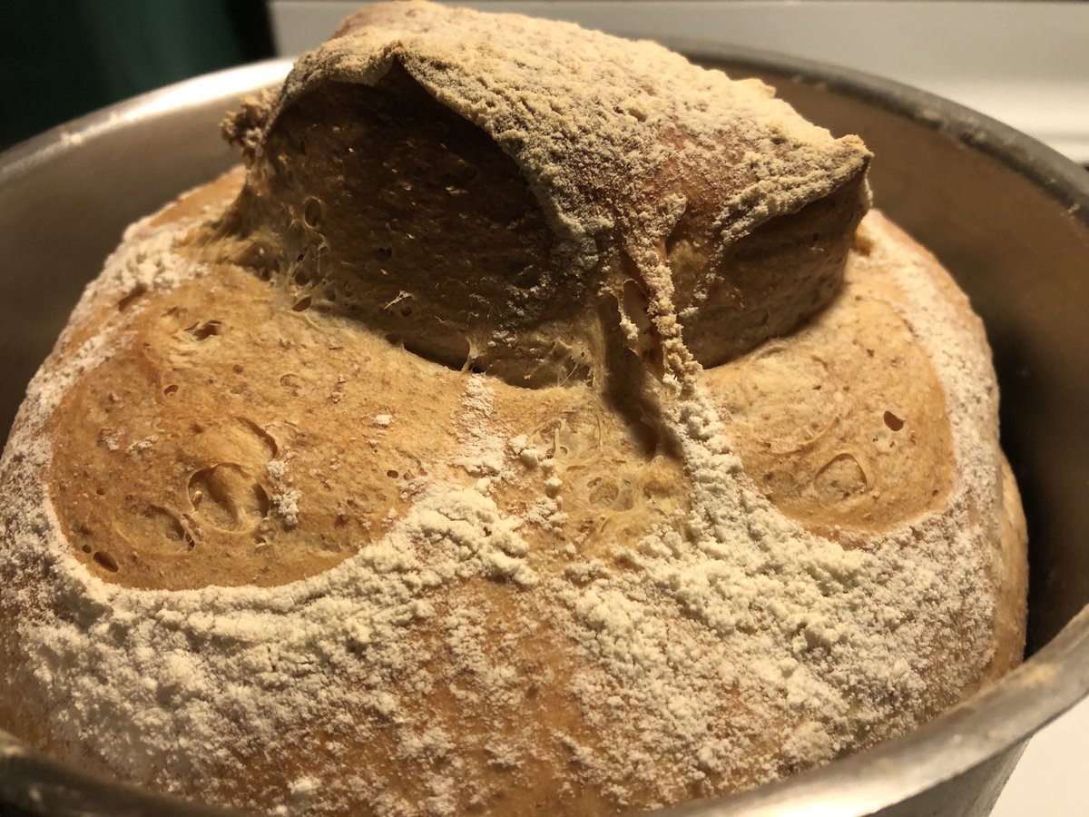 You know you’re obsessed with #bread when you record the sound of the crust cooling and admire the cracks on the surface #sourdough
