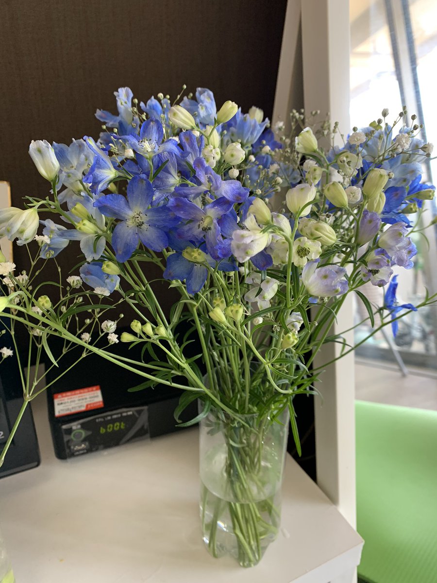 たのまゆうむ ごほうびは居酒屋で 今日のお花 デルフィニウム 夏の花だそうです 家に花があるの嬉しい 花のある生活 切り花