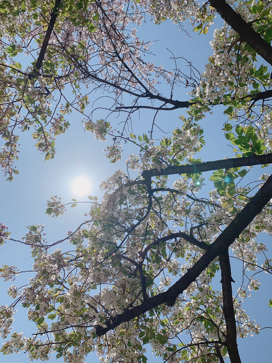 Rika_Minamida's tweet photo. バイトの休憩中です🌱✨
今日もぽかぽか暖かい☀️
風も気持ちいいし〜
午後も頑張るぞ〜‼️

#南田梨花
#うざい女
#公園
#ぽかぽか
#春 https://t.co/wVN9wTE6nG