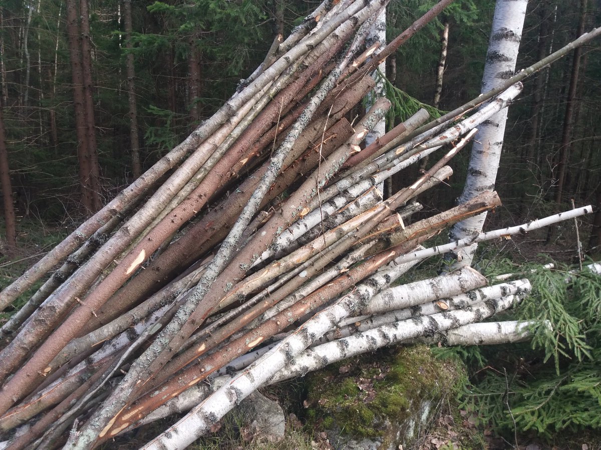 Helena Jokinen tweet media