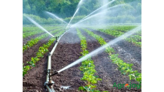 Agrojay_'s tweet photo. https://t.co/zzoo7ayJlo
In #order to #irrigate the #crops , #free irrigation methods, sari varamba, #long sari, #Steam methods, ale methods, and #modern irrigation methods, followed by frost #irrigation methods and drip irrigation #methods. 
#Nashik #PMOfIndia 
@nashik_feed https://t.co/CepWD6BCmp
