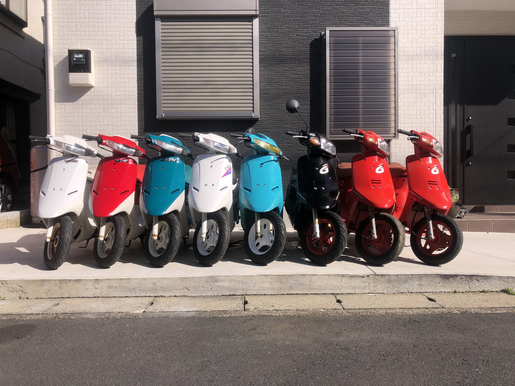 はらぺこ 50%OFFセール】はらぺこあおむし / 傘 雨傘 長傘 グラス