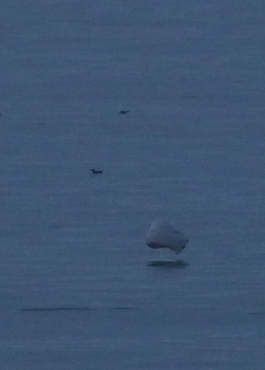 Steve Truluck tweet media