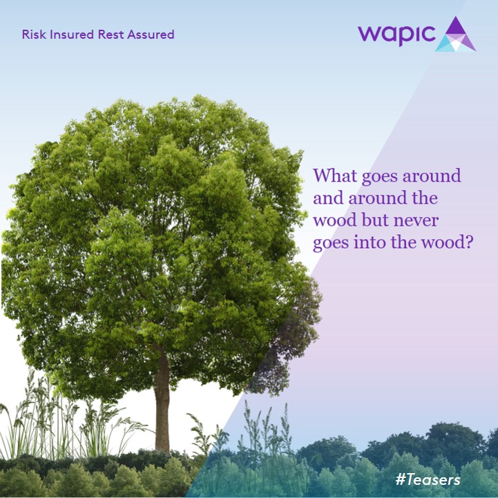 coronation_ng's tweet photo. #TuesdayTeaser 
What goes around and around the wood
but never goes into the wood?
#Tuesday #WapicInsurance 
#Wapic #Insurance https://t.co/So2FuXQQ0x