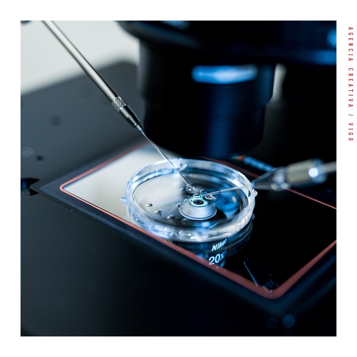 💪🏻 Como personal biomédico, en #ClínicaNida siguen al pie del cañon, con tratamientos imprescindibles que ya estaban en curso y un nuevo servicio de primera cita por Skype.

❤️ Nosotros encantados de poder seguir ayudando y trabajando con ellos estos días.