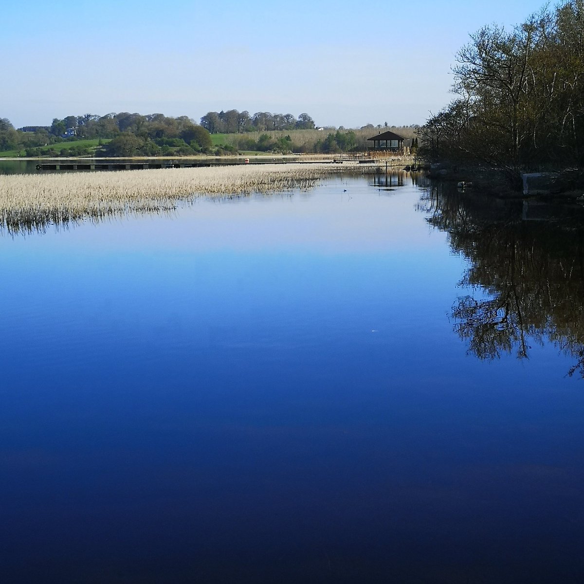 heartlandstours's tweet photo. Calm Waters along the shoreline @wineport_lodge .
#IrelandsHiddenHeartlands #DiscoverIreland #FailteIreland #SeansBar #HodsonBayHotel #BirrCastle #CliffsOfMoher #Galway #Connemara #NationalTourGuide… https://t.co/CO05tscleU https://t.co/IgMYC8IYSq