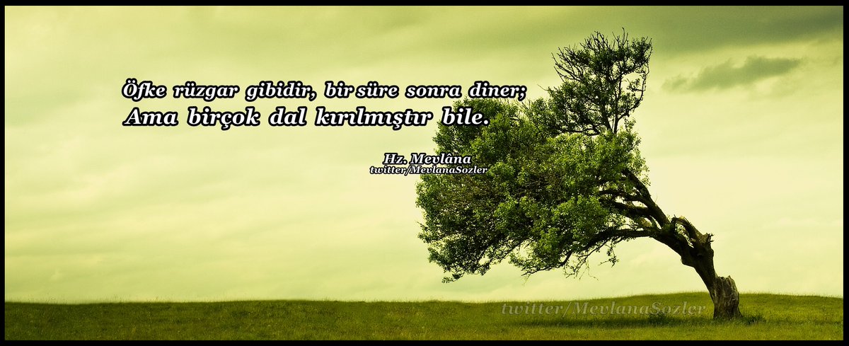 Öfke rüzgar gibidir, bir süre sonra diner; 
Ama birçok dal kırılmıştır bile. 

Hz. Mevlâna