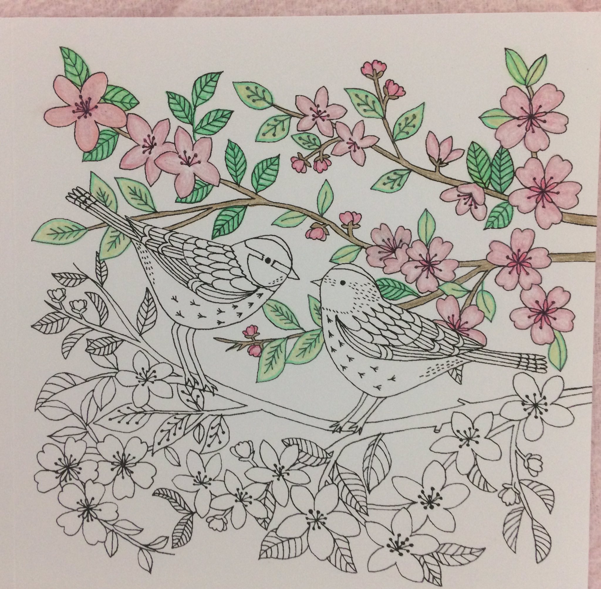 虹色工房 レベッカ ジョーンズ 著 Nature の 塗り絵 より 桜 の半分を塗りました 鳥 を何色にしようかなぁ と考え中 これから まだまだ サクラ も咲かせますよ 大人の塗り絵 ぬりえ ぬり絵 T Co Ugjlrjrbrs Twitter