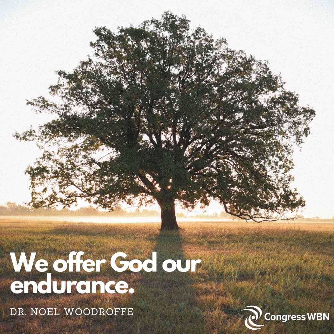 Noel Woodroffe (@noelwoodroffe) on Twitter photo 