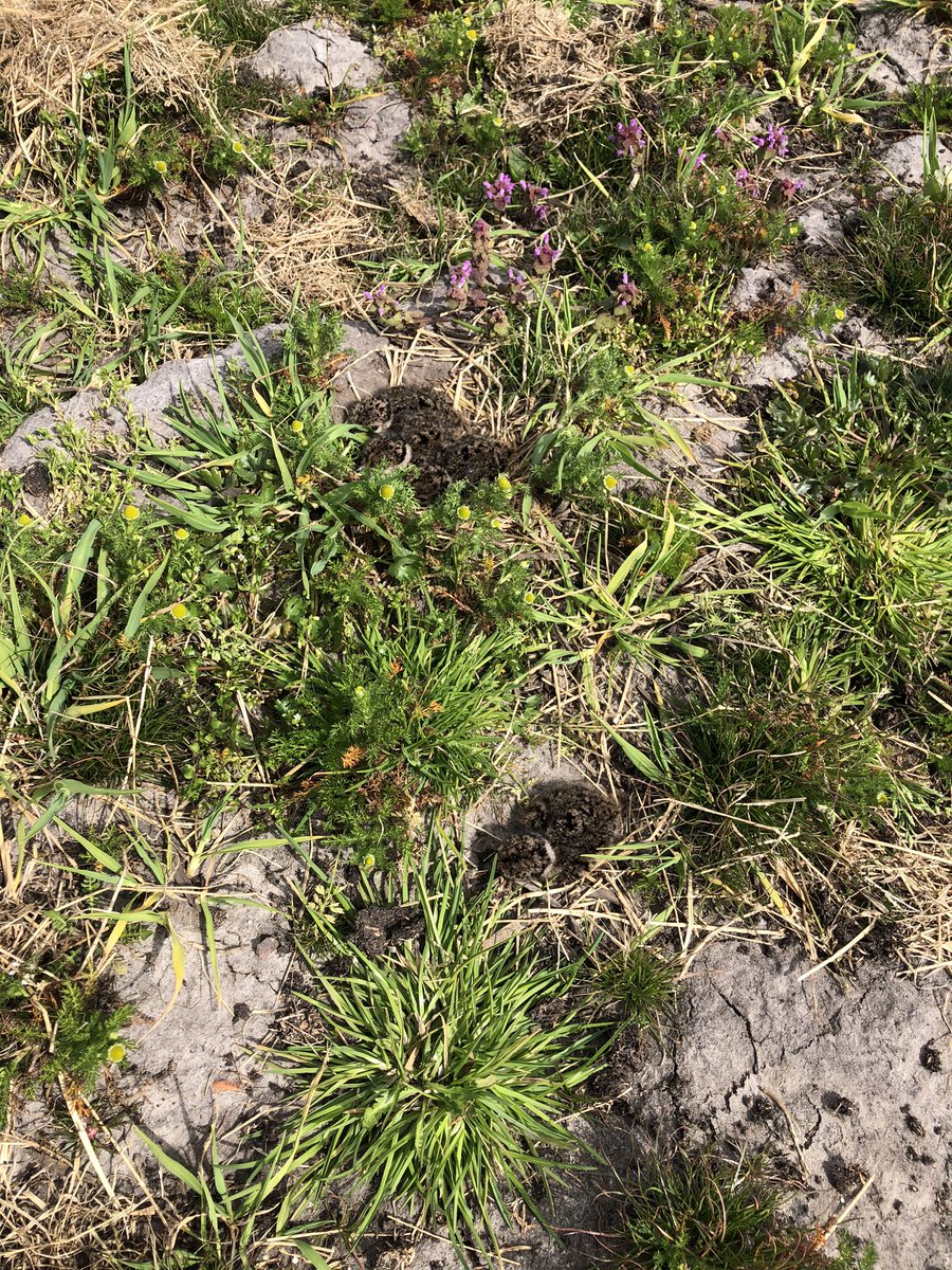 Us eerste resultaat 💪💪