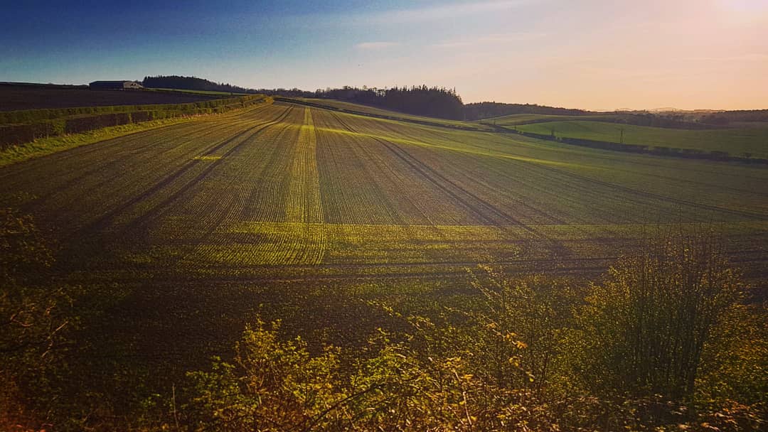 colindempster's tweet photo. Day 23: An enjoyable cycle π΄ last night via Wallyford, Whitekirk and the Pencaitland Railway Walk. 17.98 miles, missed the junction to take the planned (shorter) route via Elphinstone. Beautiful East Lothian countryside. Excellent exercise. #eastlothian #fields ππΎ #oneexercise https://t.co/EXlGIa67Qp