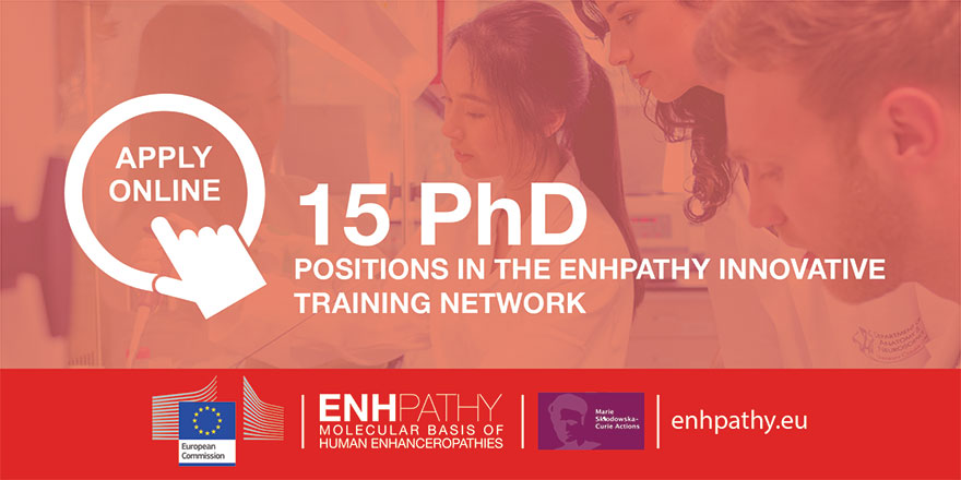 ABioDesign's tweet photo. PhD Projects call are still open. Submit your application.
Apply here https://t.co/XMksGOi2l5
@MSCActions @enhpathy_H2020 https://t.co/Vy5IkCVpPe