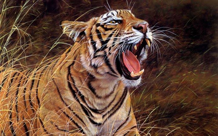 🐯