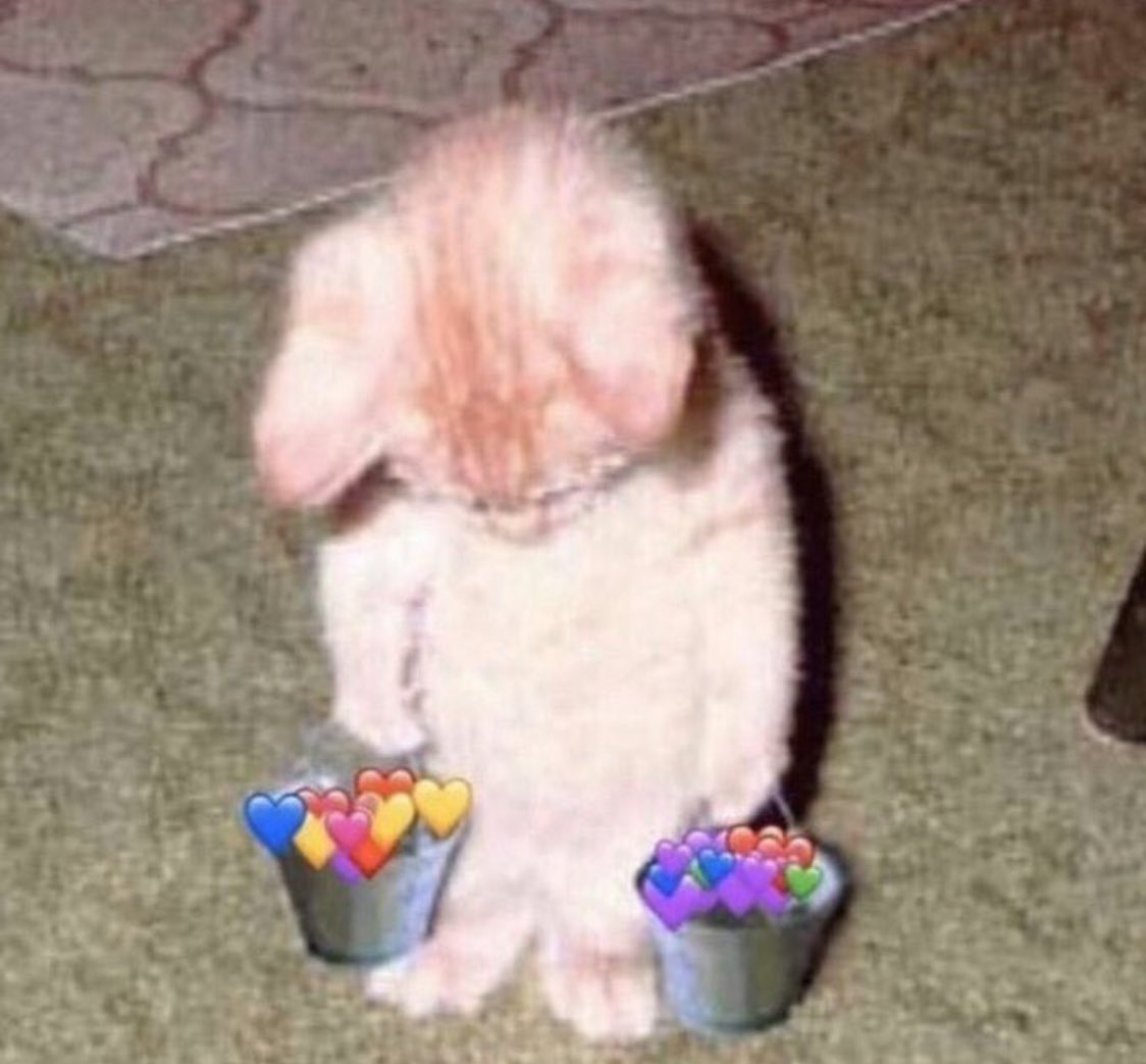 reaction pictures/memes i have saved: a thread