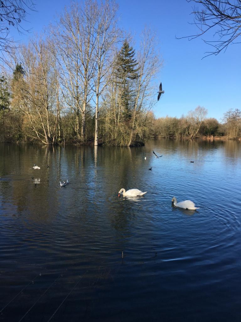 Taken on a very cold January in Oxfordshire <a href="/MattHayesfish/">Matt Hayes</a> #WhyWeFish