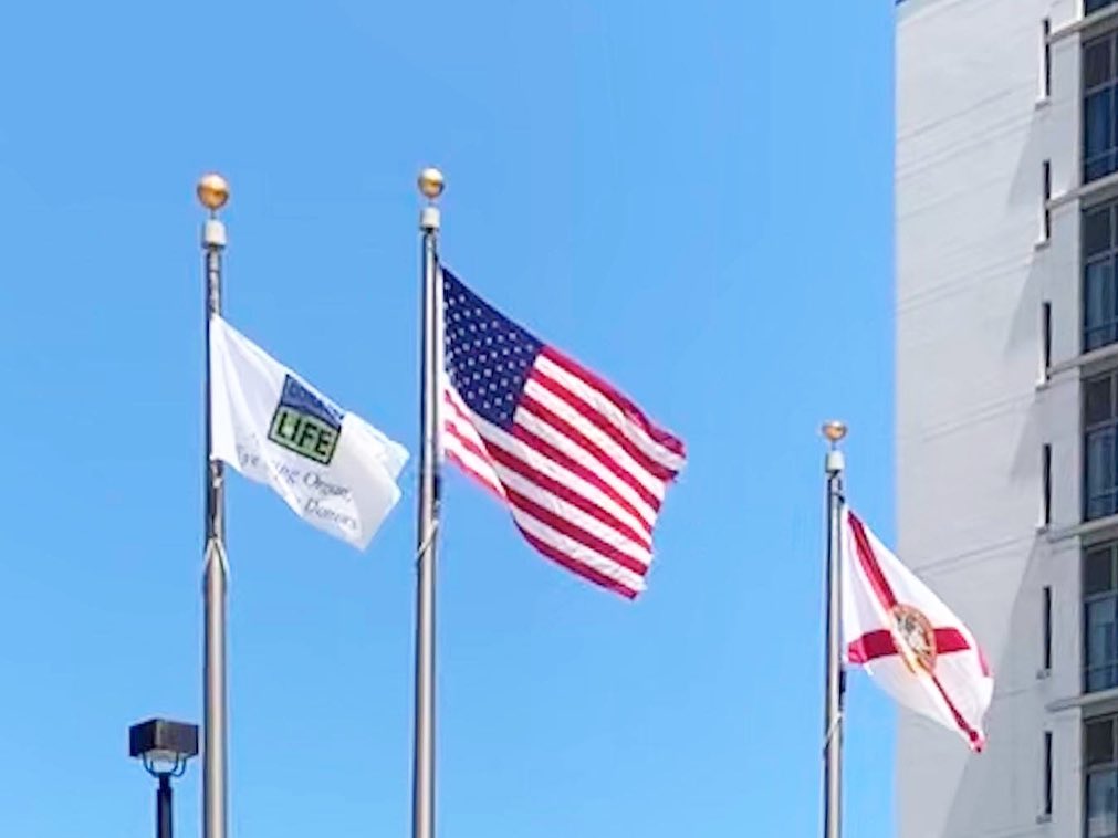 OurLegacy tweet media