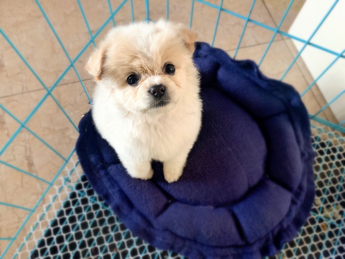 He wants to go out to play🤠