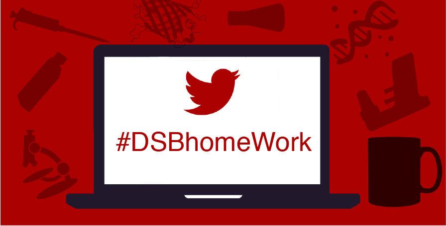 PhD_DSB_UniPD's tweet photo. Hey Guys! It's a month that we #StayHome. Do we miss you?
Why not stay closer and have some fun?!
Share with us your daily life, your new work environment and routine.
Use #DSBhomeWork and tag us @PhD_DSB_UniPD in your photos and tweets. https://t.co/zNS7EWioza