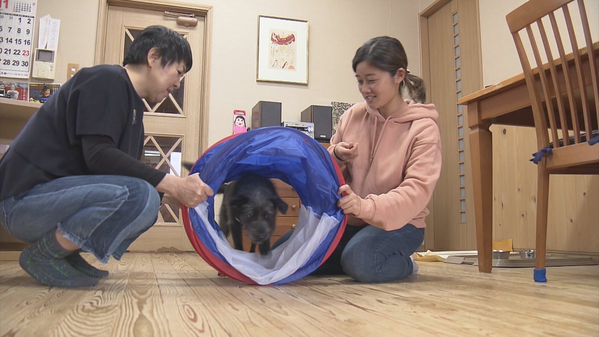 ATV青森テレビ報道 tweet media