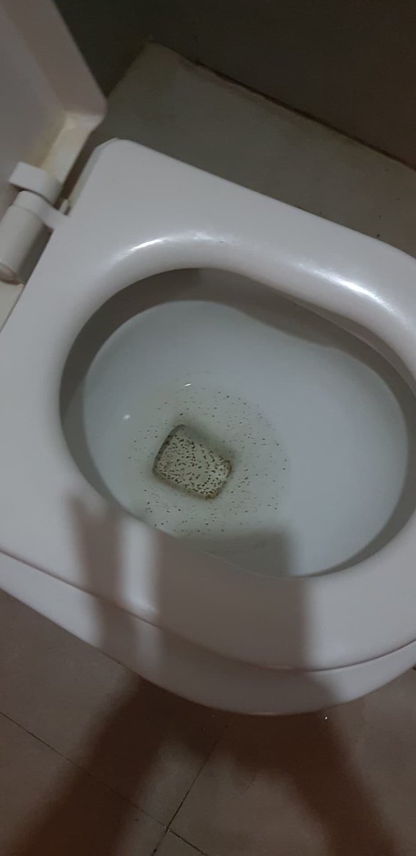 OFW-seafarer says that in the restroom, there were stains on the water basin and the tiles of the shower area while light brown water flowed from the faucet and from the water tank of the toilet bowl itself. Says it took hours before water cleared, making it possible to shower.