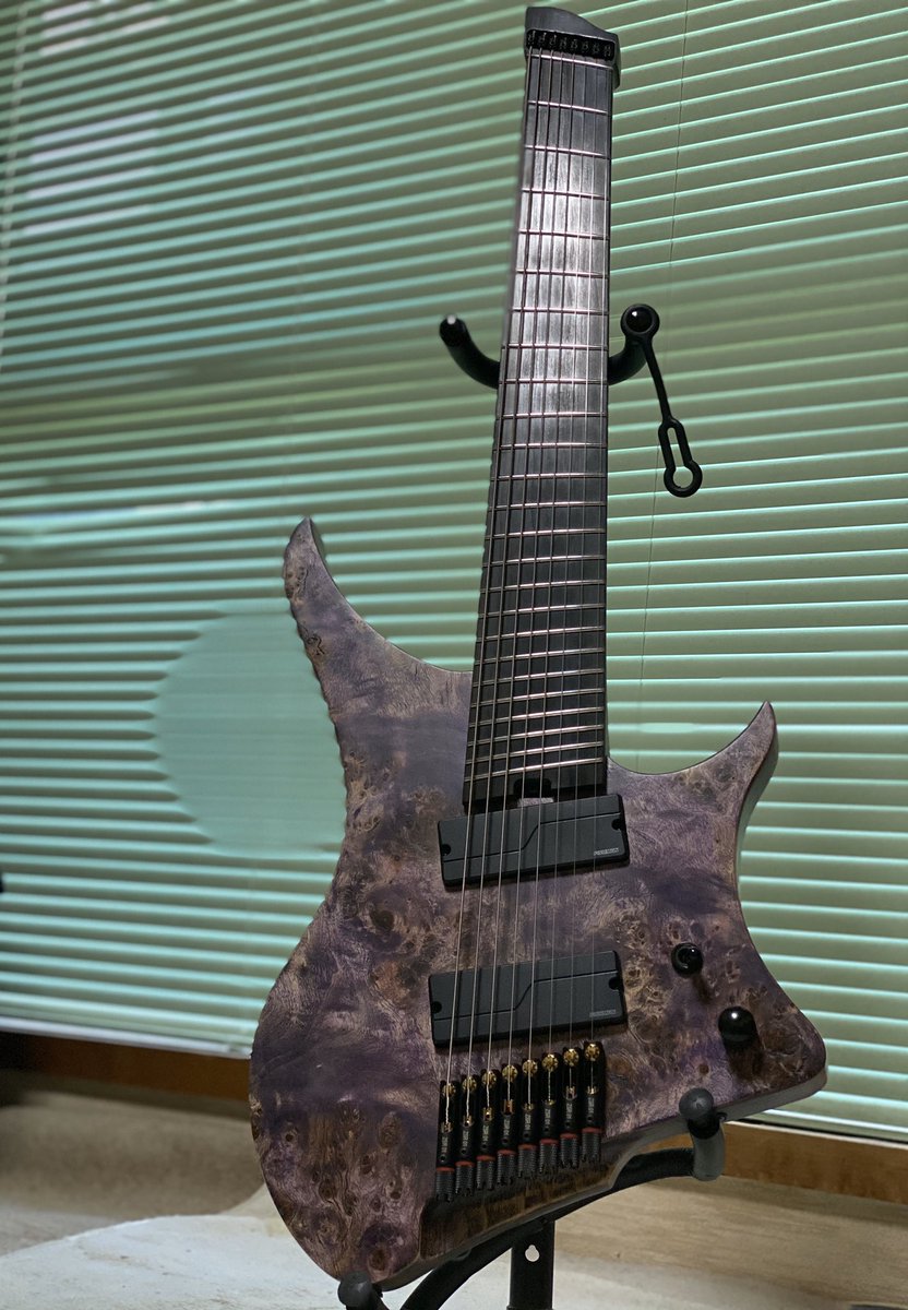 GOC Guitars Materia 8弦 | elbschneider.de
