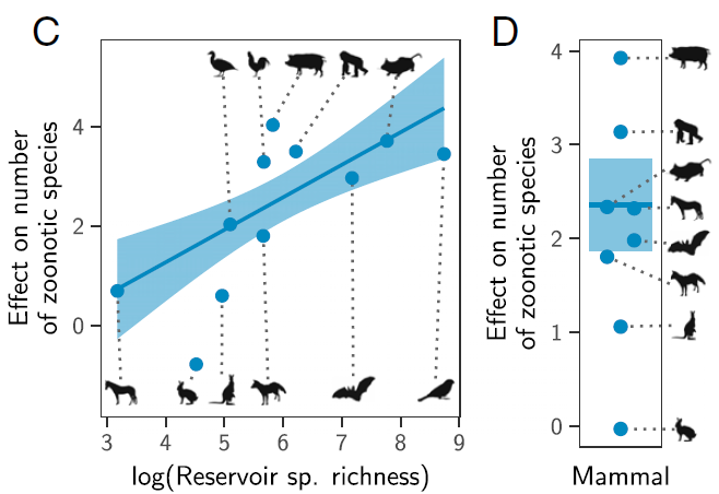 Are  #Bats and  #Rodents special reservoirs? New study found that "Animal orders of established importance as zoonotic reservoirs including bats and rodents were UNEXCEPTIONAL, maintaining numbers of zoonoses that closely matched expectations for mammalian groups of their size. 1/n