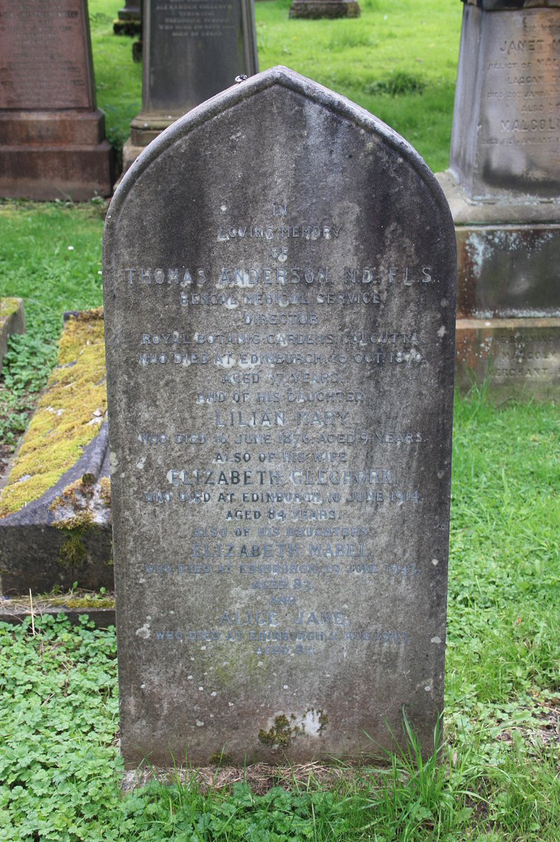 Dr Thomas Anderson later served as the the Superintendent of  #Bengal Forest Department for a couple of years and died in 1870 at a young age of 38! He is buried in Dean Cemetery in western  #Edinburgh !