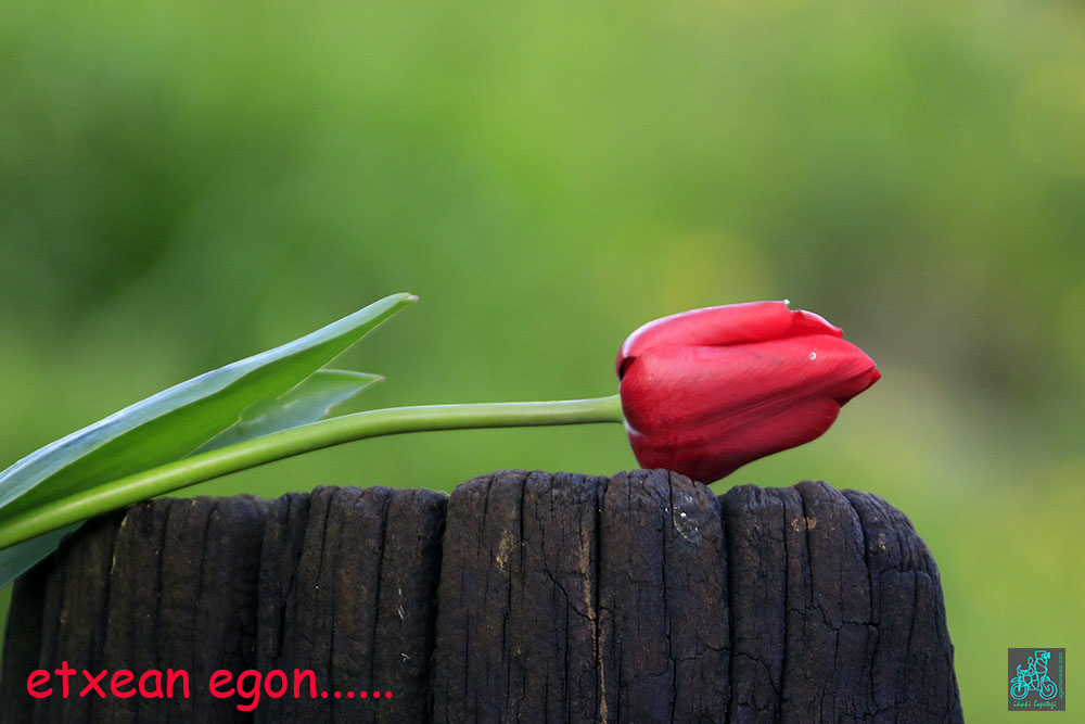 agerremedia's tweet photo. https://t.co/GSjXCVHKtI