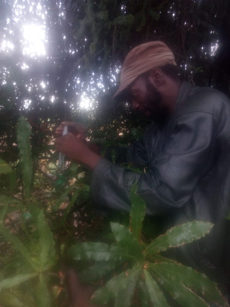TreeKnowers's tweet photo. In the process of airlaying you encounter challenges of the material used to hold moisture as most tend to lose their moisture overtime .
TKG's Ras Farai inspected some of the fruit trees that we are working on at Musarurwa farm. https://t.co/stRs9FQxd9
