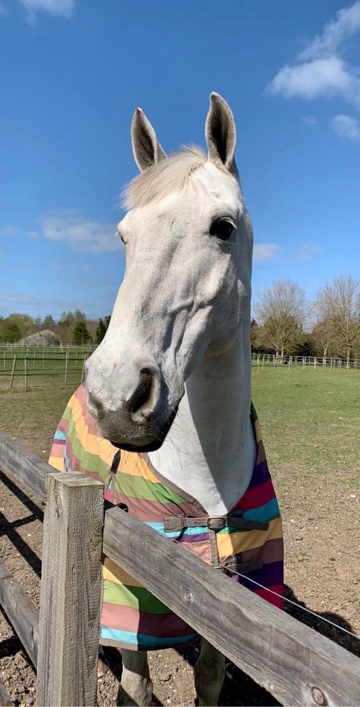 Twitta Eventing tweet media