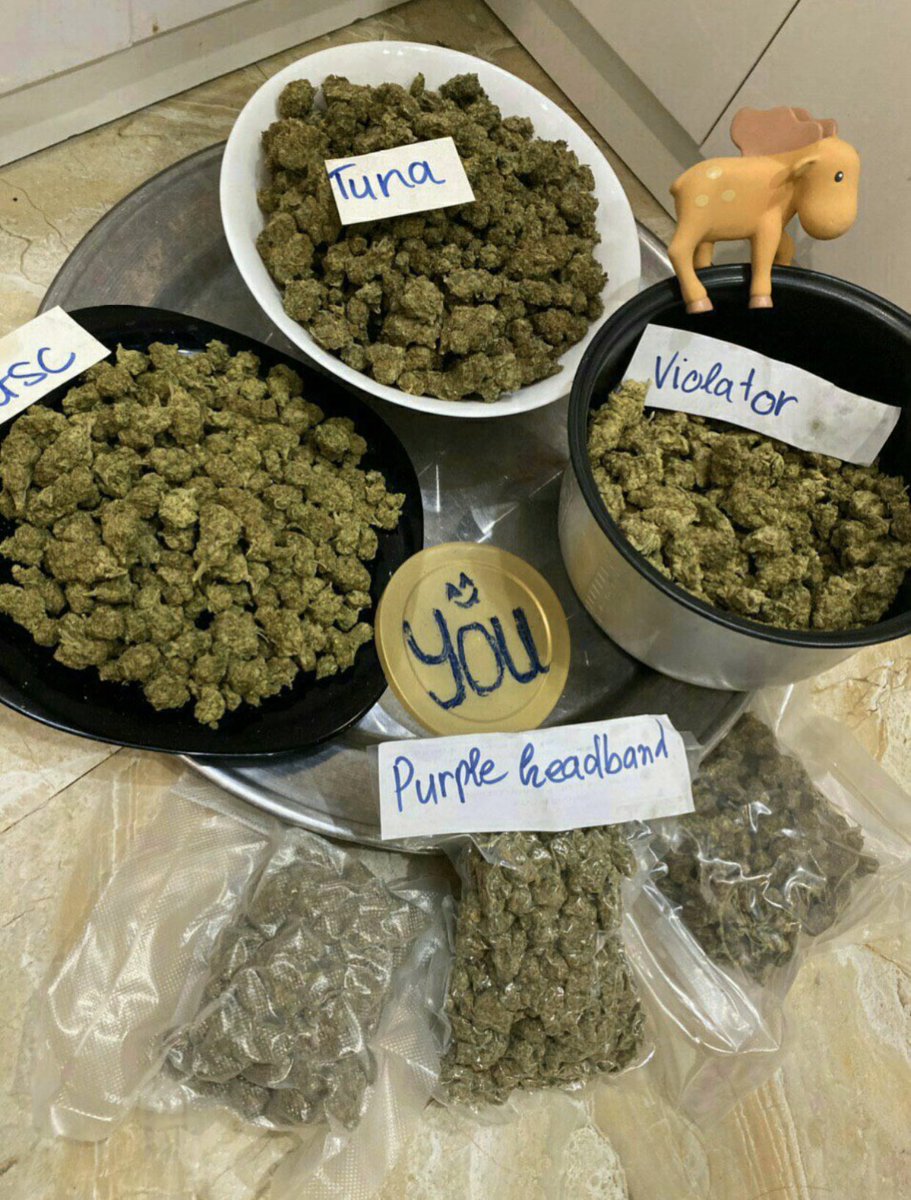 JhonPatto's tweet photo. Livraison  rapide et discrète #France snapchat: jhon_patto
Telegram: @jhon_patto85 
#weed #cannabis #cocaine #mdma #xanax #adderal #oxycodone #weedfrance #weedfr #PSG #cannabisfrance #lyon #A #beuh #marijuana #Parisiens #weedsmokers https://t.co/TTNaMJwxu3