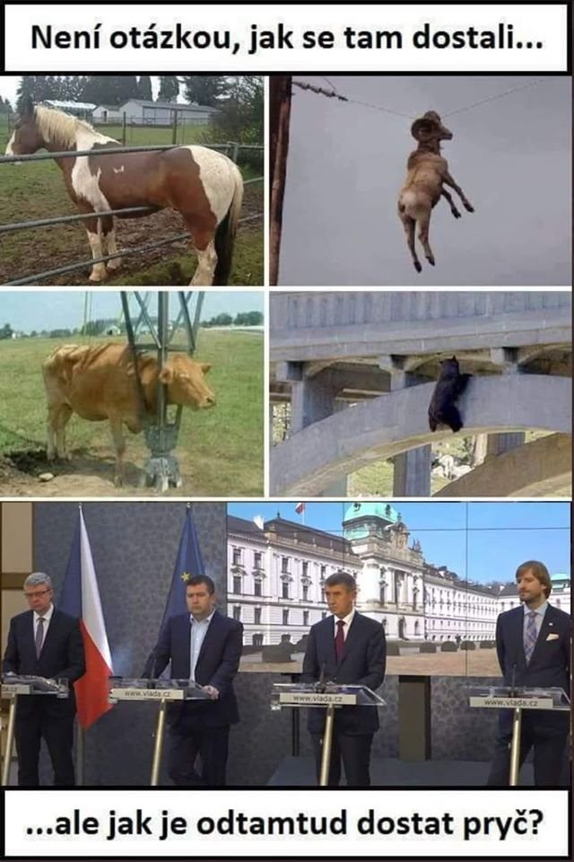 HPrahy's tweet image. 