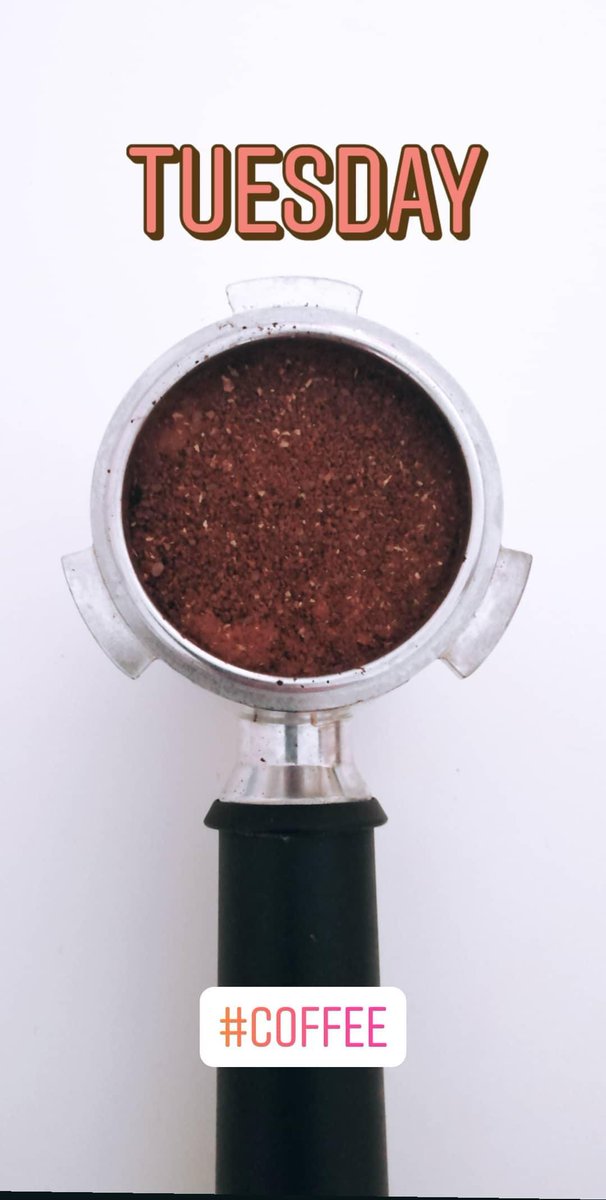 BlackRobinCoffee (@BlkRobinCoffee) / Posts / X