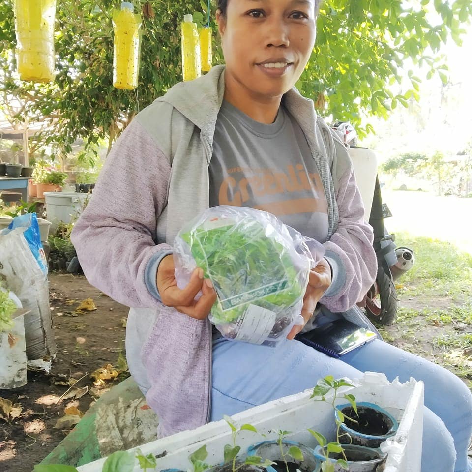 AnakHalmahera1's tweet photo. We've started given away the plants. To prepare for a long-term impact of COVID-19 each household shall start gardening at their home. #GardeningFromHome https://t.co/94Eiy6jn06