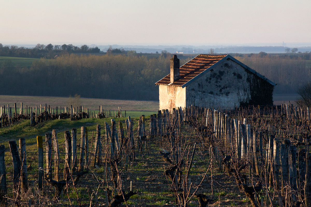Un épisode "Coquin" ce mois-ci... Découvrez l'interview de Max à Menetou-Salon podcast.ausha.co/tirebouchon/le…