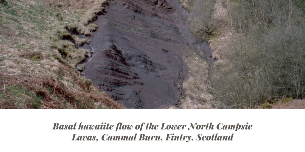 BGSEarthwise tweet media