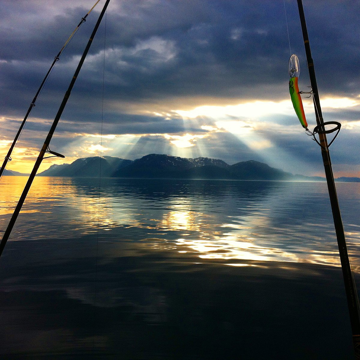 MarkTRae's tweet photo. Took this shot in the Arctic Circle, Norway. It's rare for the air to be so still, the only sound a gentle lapping of the fjord on the hull of our boat. Dolphins came up for air and I felt like I had been hypnotized. Time ceased to exist. #Norway #Storekorsnes https://t.co/r0gYea2OGI