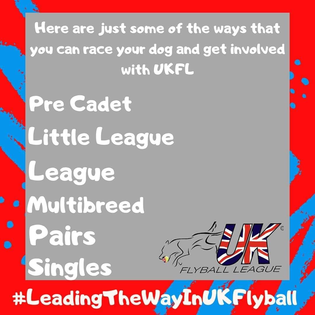 UKFlyball's tweet photo. #LeadingTheWayInUKFlyball #UKFLRocks https://t.co/WiRtnHd0vs