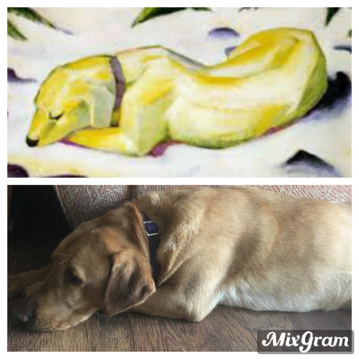 LooeCommunityAcademy tweet media