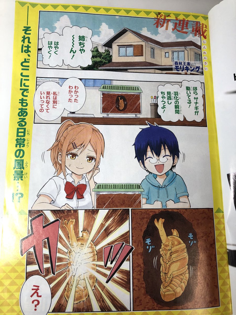 近藤信輔 忍者と極道 単行本 巻10月13日発売 青春兵器ナンバーワン の長谷川智広先生の新連載 森林王者モリキング 面白い 何食えばこんな発想出るの って頭のネジが数本飛んだネタが相変わらずキレッキレ 大好き 近藤信輔 忍者と極道 単行本 巻10月13日発売 青春兵器ナンバーワン の長谷川智広先生の新連載 森林王者モリキング 面白い 何食えばこんな発想出るの って頭のネジが数本飛んだネタが相変わらずキレッキレ 大好き