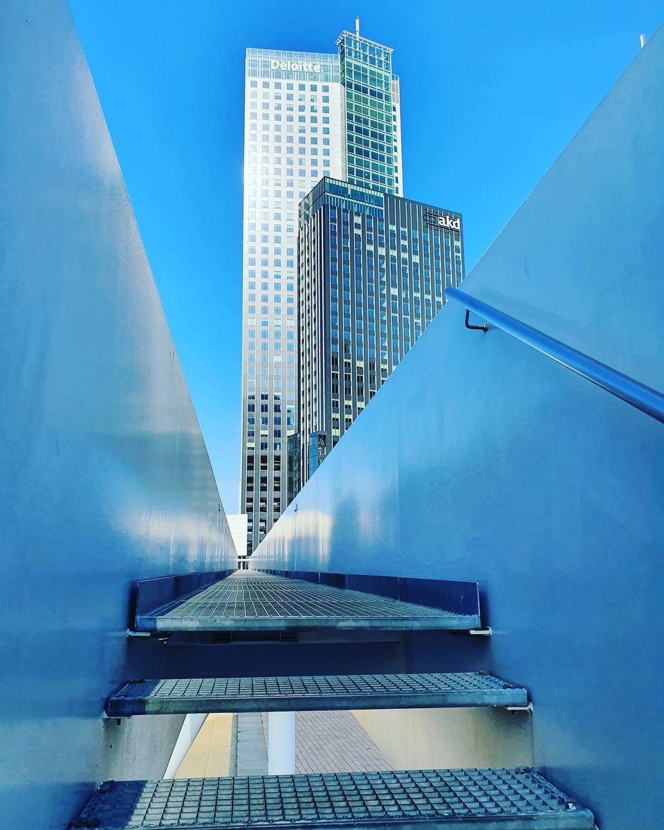 RotterdamPages tweet picture