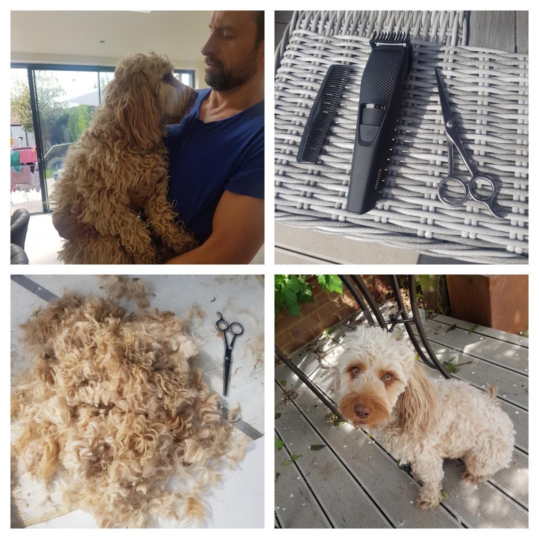 MarcWatersLdn's tweet photo. In our new normal I took a break from social platforms. Reccomend it highly. For balance and perspective. I even learnt new skills. #digitaldetox #poormaggie 🐶 https://t.co/P8Um8XUbiL