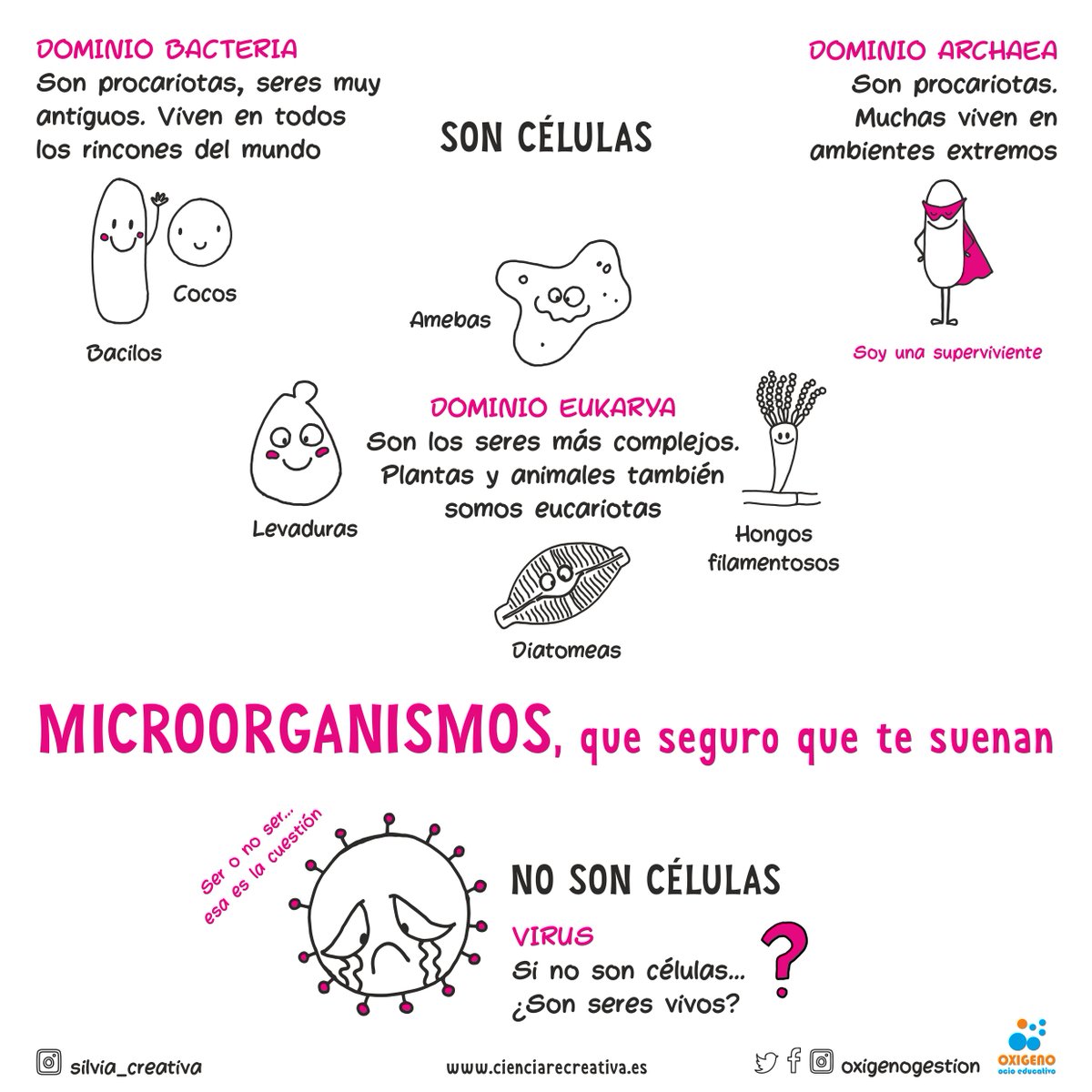 ¡Os damos la bienvenida al maravilloso mundo microscópico! Bacterias, hongos o levaduras son los protagonistas ¡Seguro que te suenan! 😎🦠🔬
#OxígenoEsCiencia #CienciareCreativa #OxígenoOcioEducativo #Microbiología #Virus #Bacterias #SARSCoV2 #microorganismos