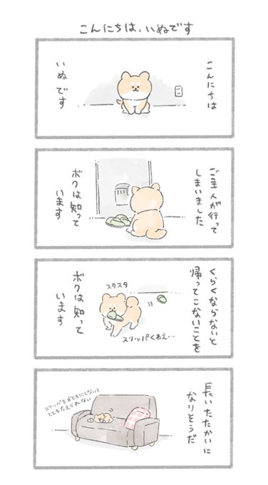 こんにちは、いぬです 