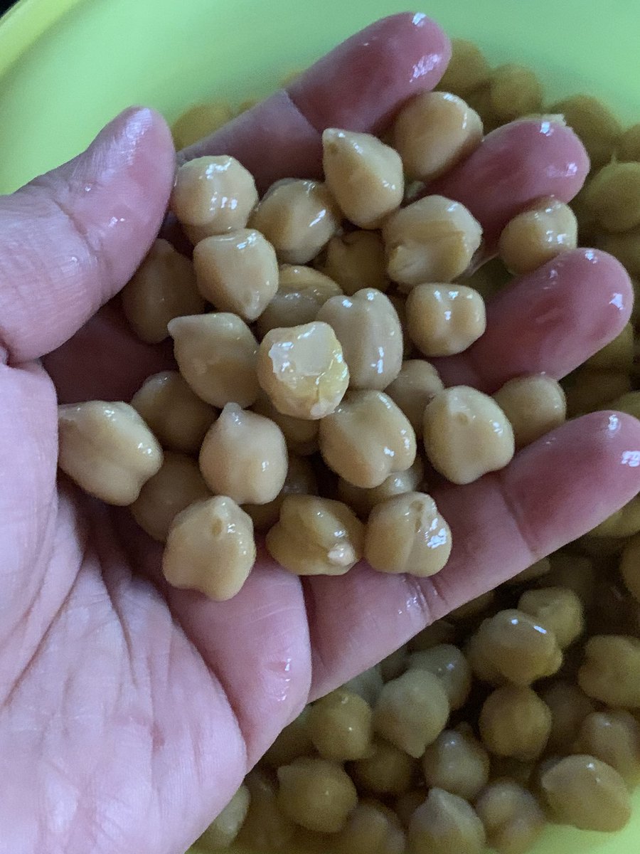 Then the chickpeas. We are India, I hope you aren’t thinking of using canned ones. Soak channa overnight and boil it next morning. A bit overboiled is fine but don’t turn it into a mush. We will grind it but overboiling too much changes texture