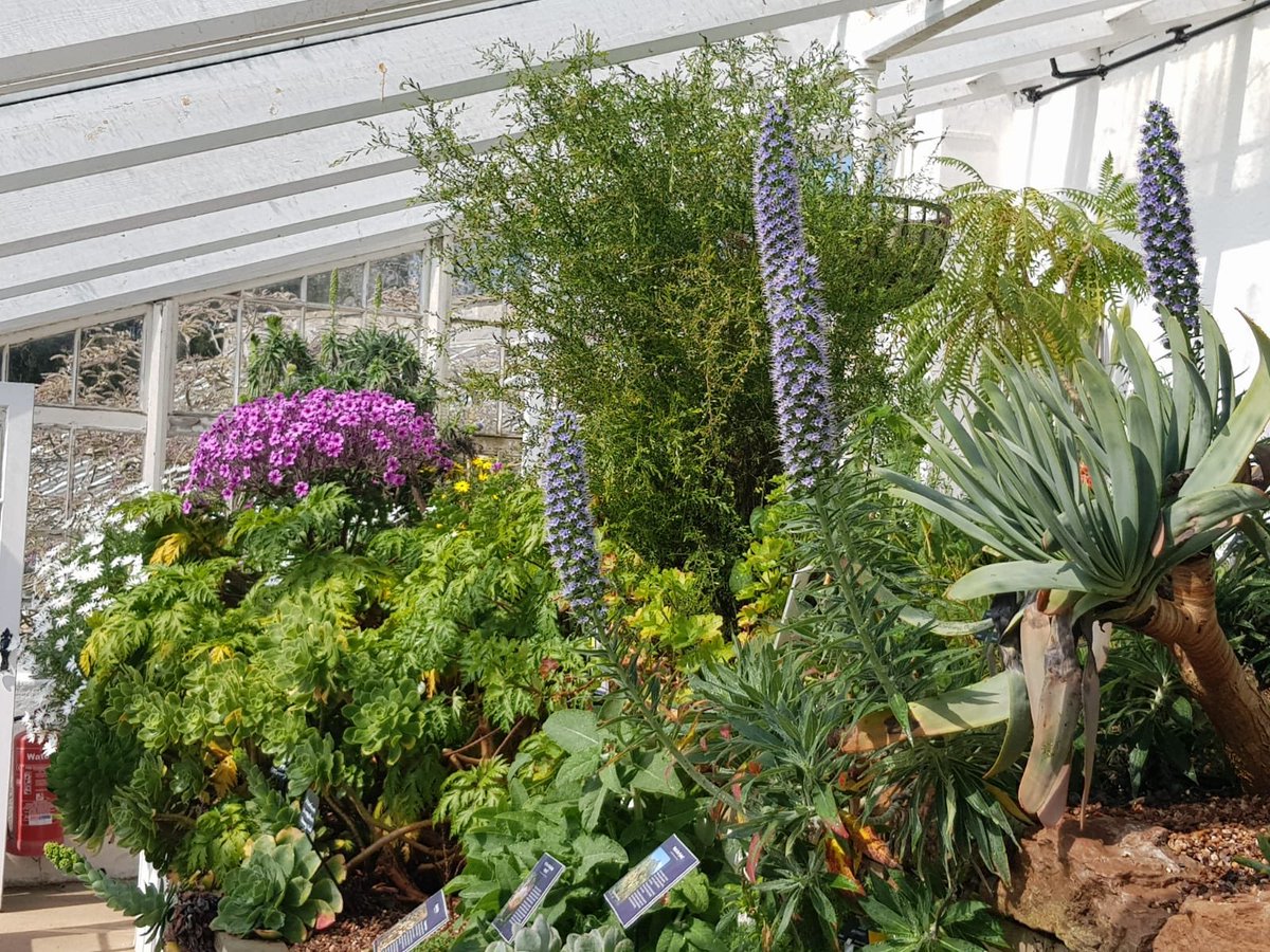 We hope everyone is staying safe at home. The Temperate house is really coming into its own #StaySafeStayHome #TemperateHouse #Plants