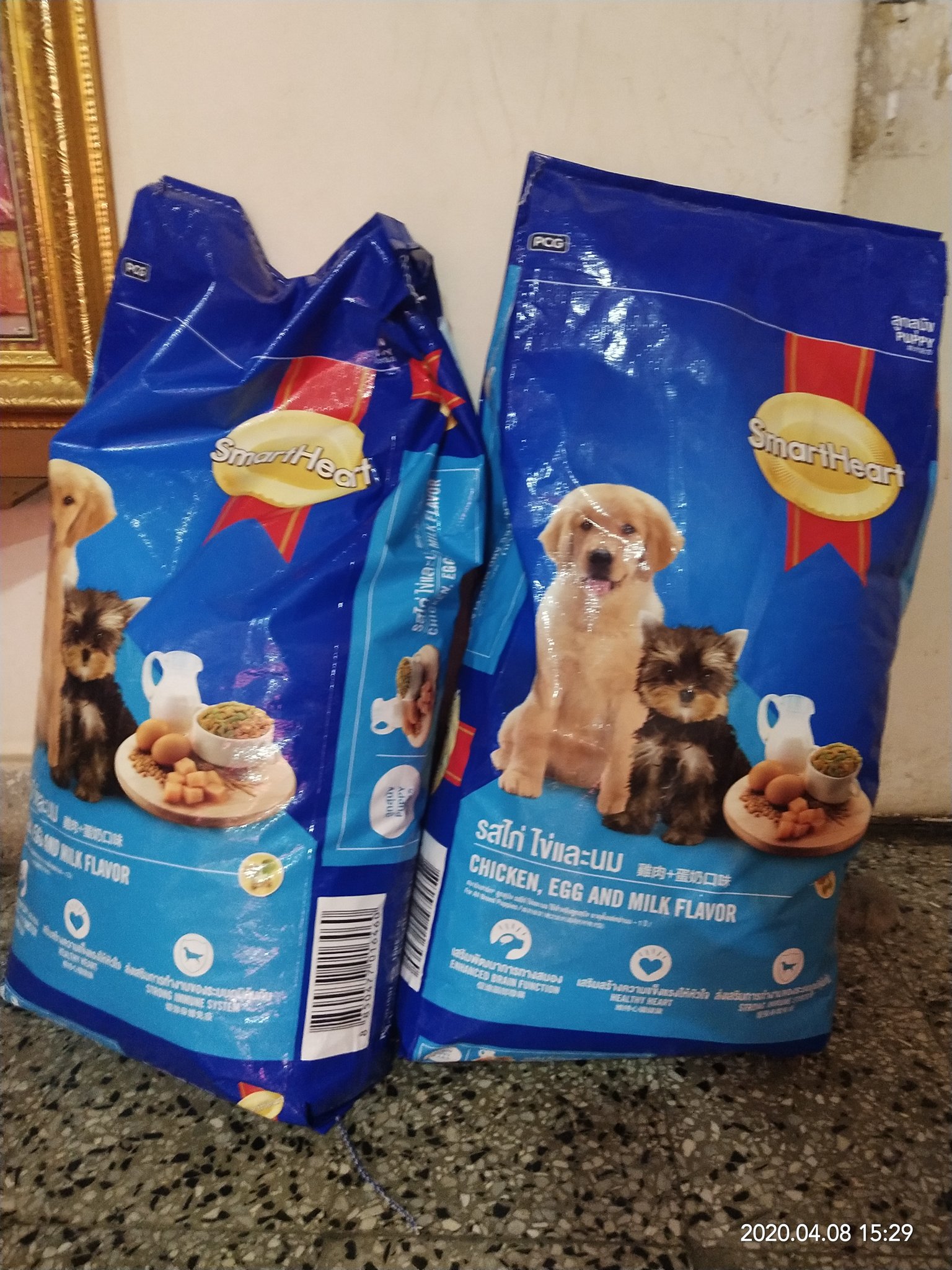 Curd rice for dogs discount